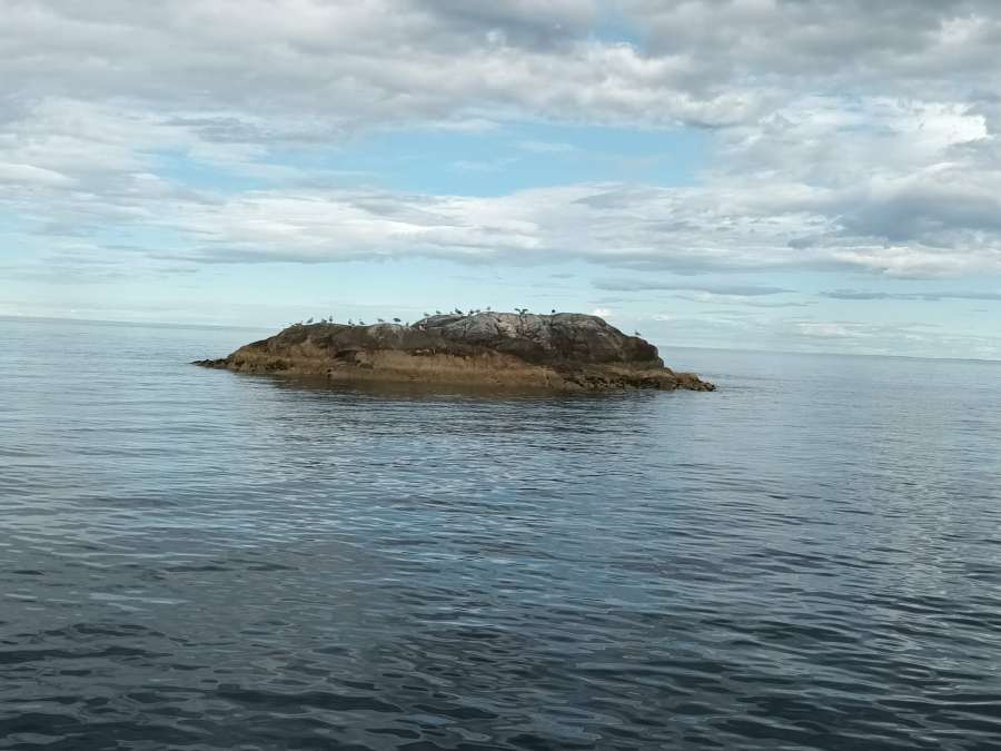 image06