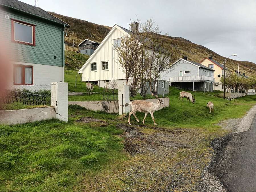 image14
