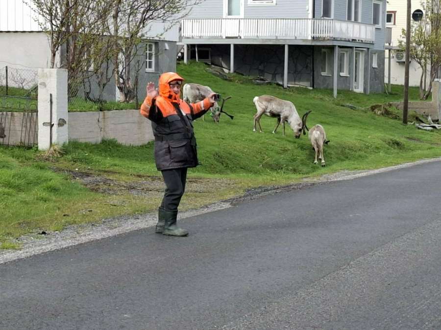 WYPRZEDANE!!! Nordkapp